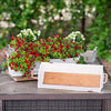 Metal Planters S/2 with Metal Frame and Wood Base