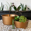 Copper Color Planter Pots with Decorative Spouts Set