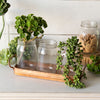 Natural Metal Tray with Jars