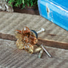 Resin Yellow Flower Knob with Distressed Finish