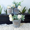 Metal Set of Planter Buckets with Embossed Plaque